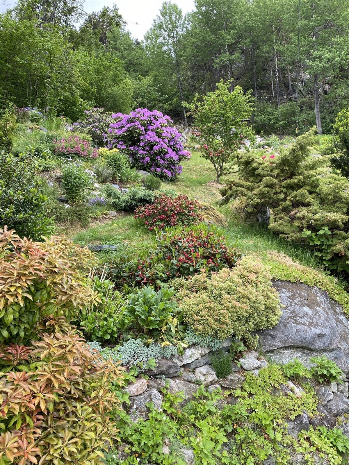 Bilde tatt av selger. Galleribilde