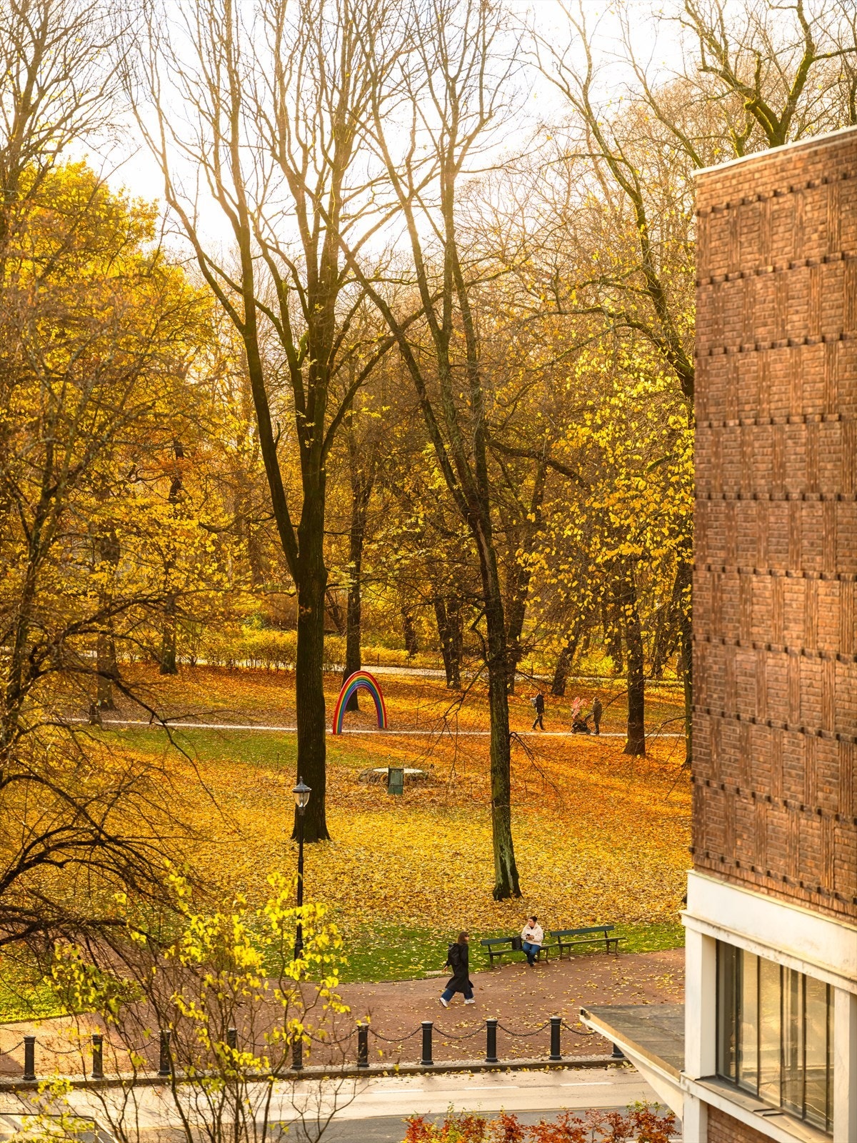 Fra stuevinduet åpner byen seg på sitt vakreste: fargerike trekroner som vaier i Slottsparken. Galleribilde