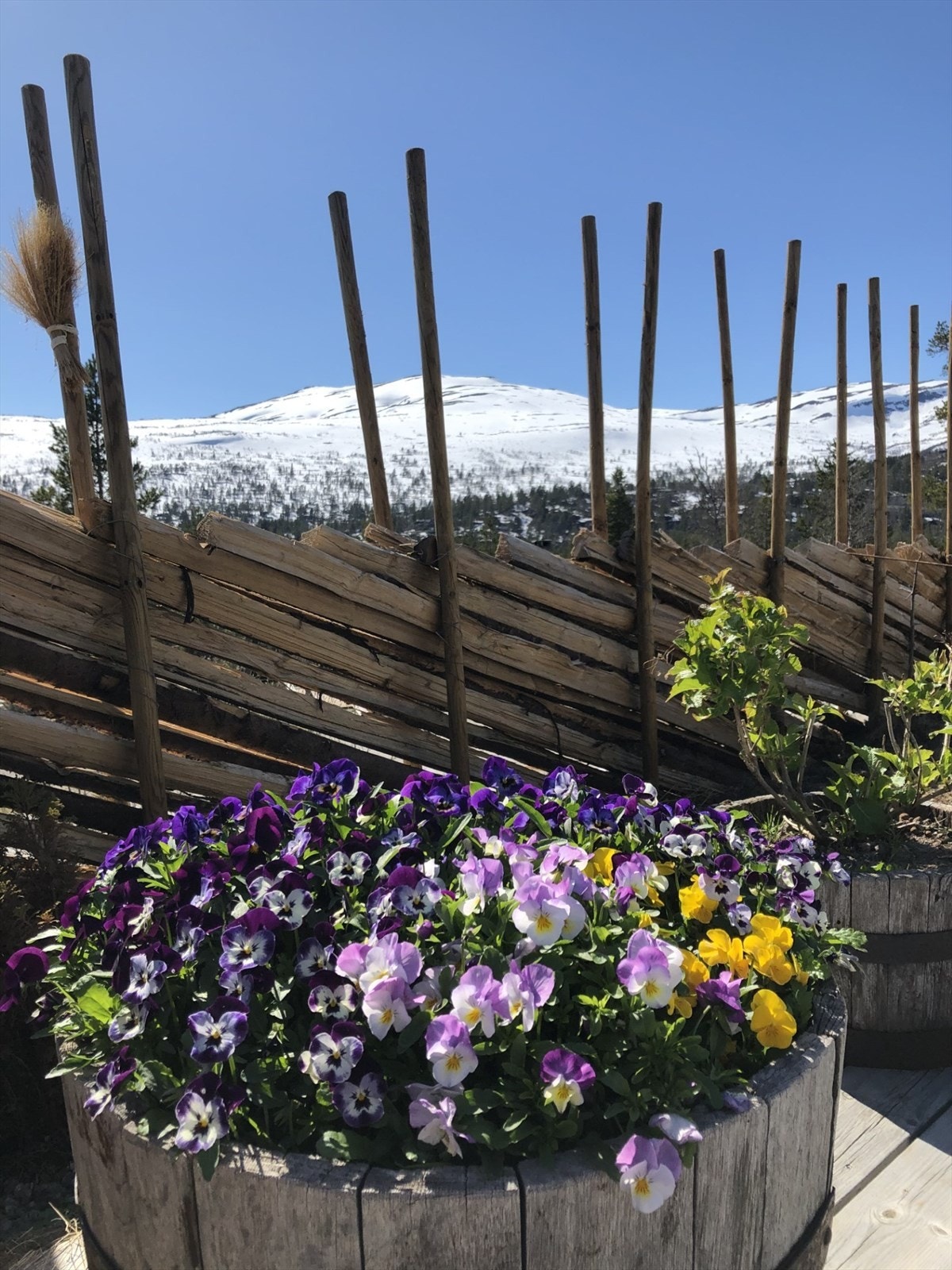 Vidsyn 4.jpg Galleribilde