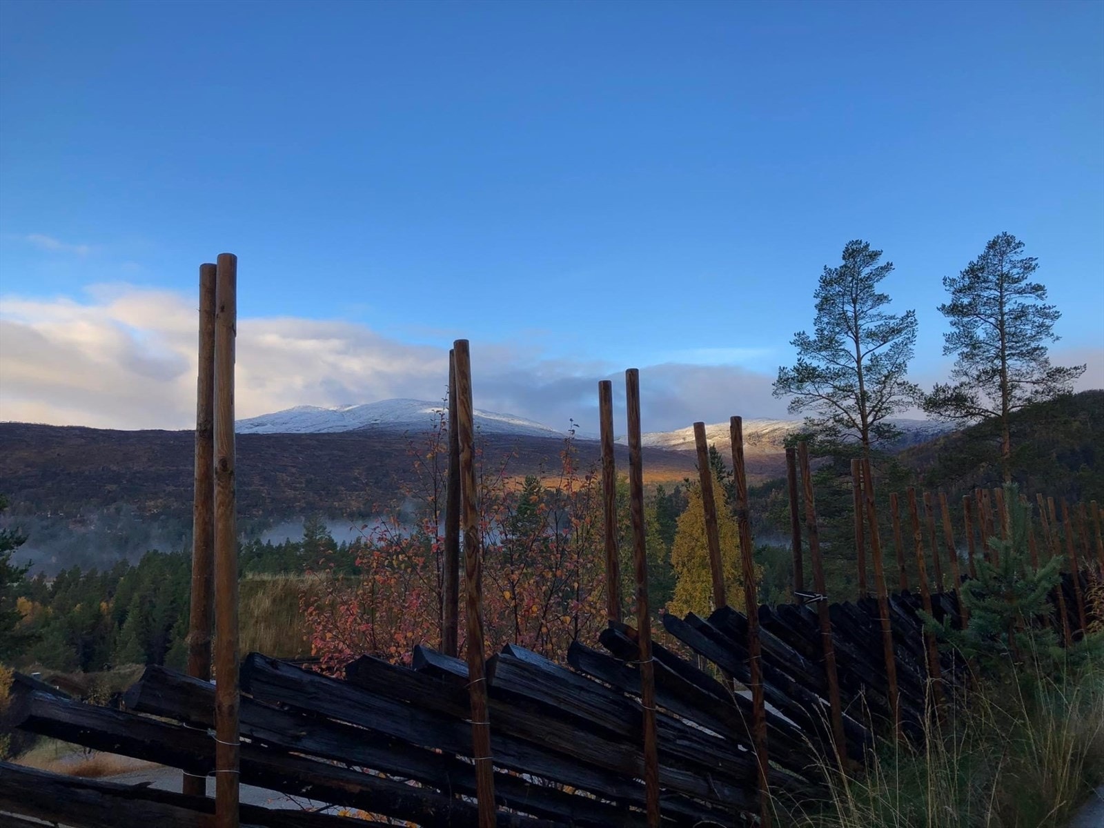 Vidsyn 1.jpg Galleribilde