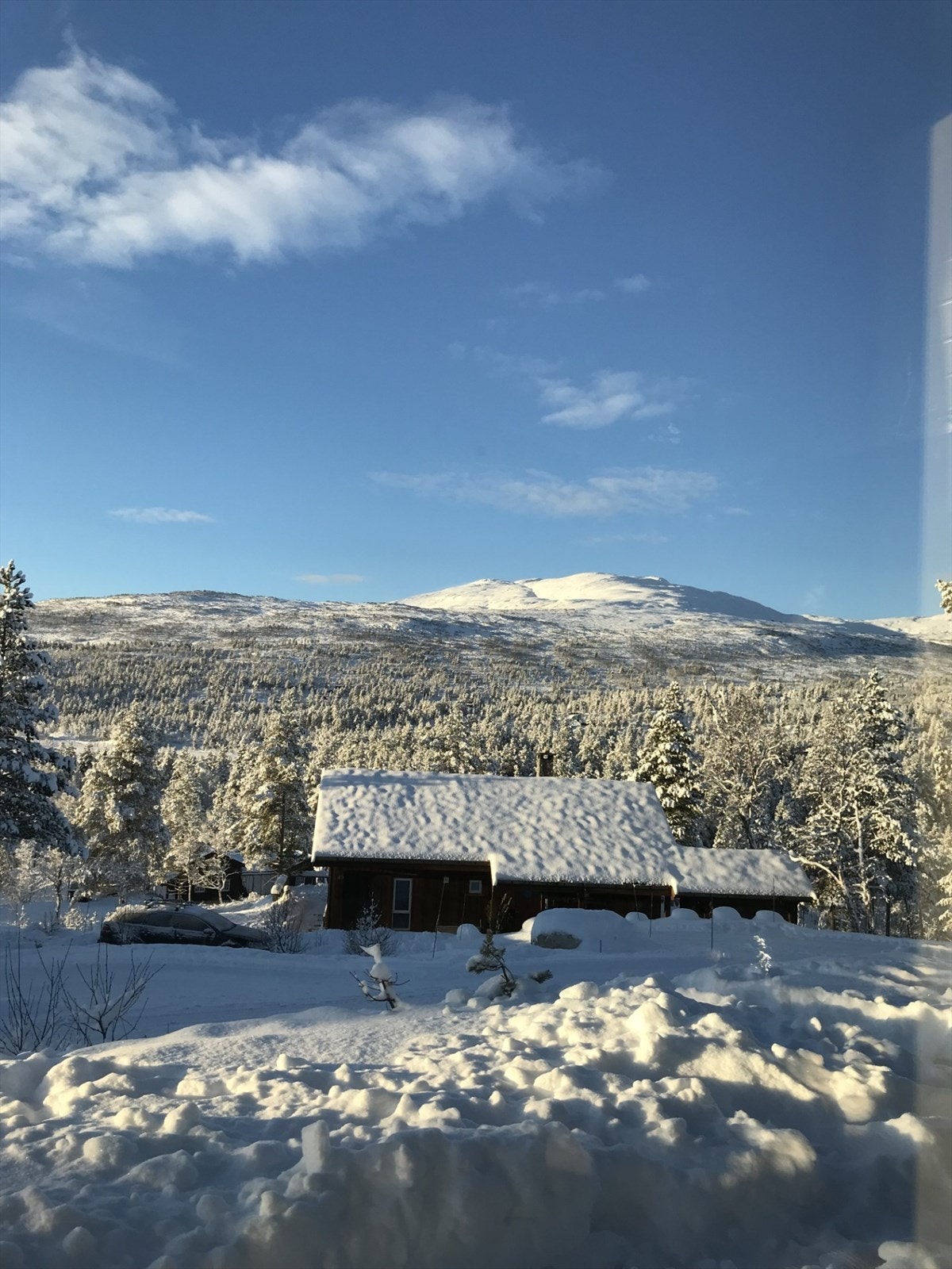 Vidsyn 3.jpg Galleribilde