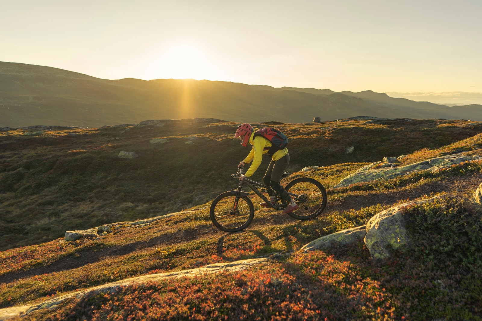 Høgevarde har et av Europas største nettverk av sykkelstier! Foto: Hans Christian Gulsvik Galleribilde