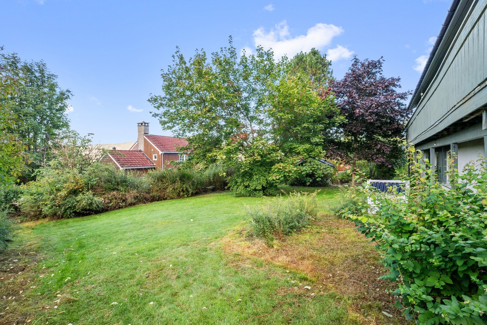 Det er rikelig med boltreplass i en stor, vestvendt hage. Galleribilde