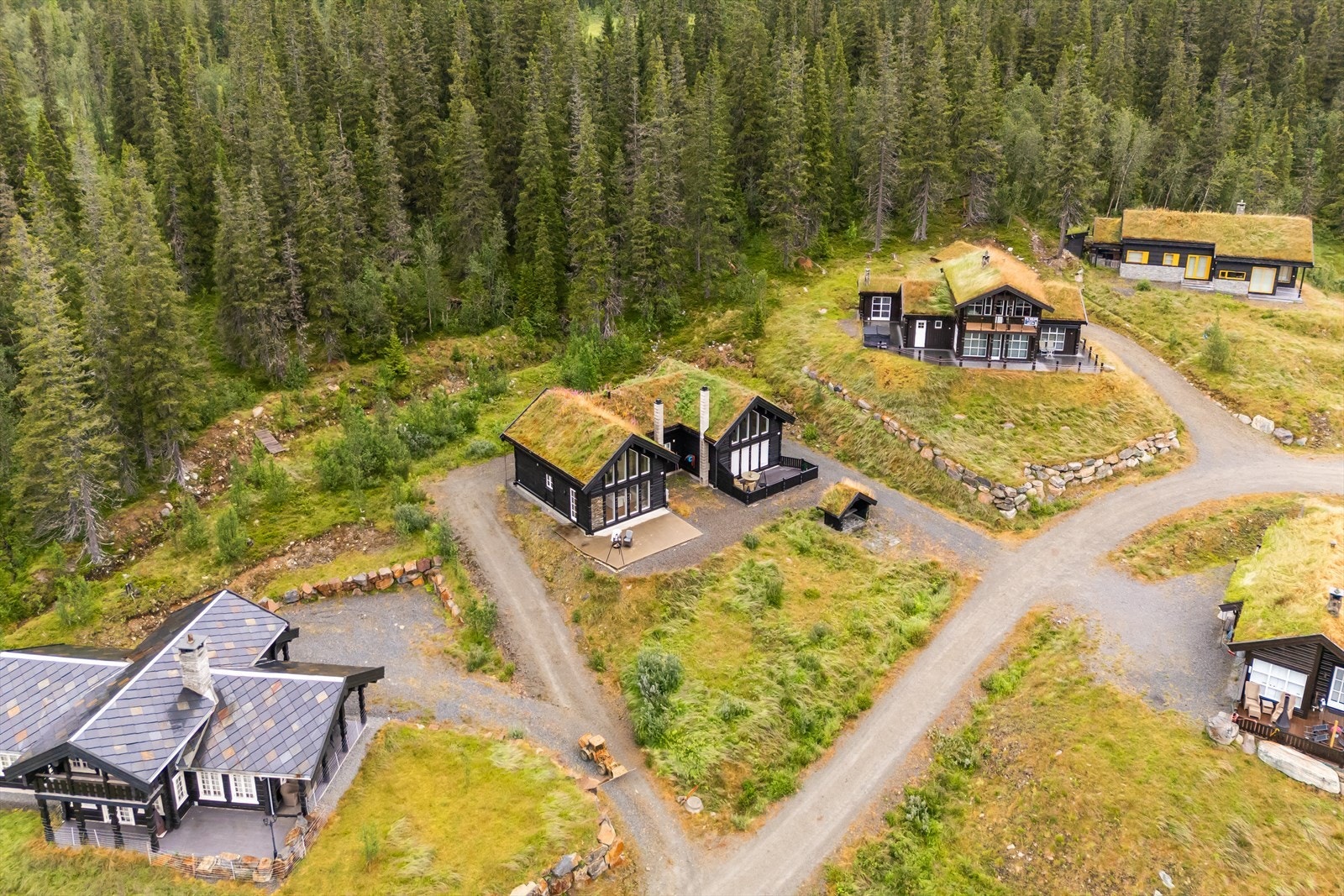 Områdebilde. Galleribilde