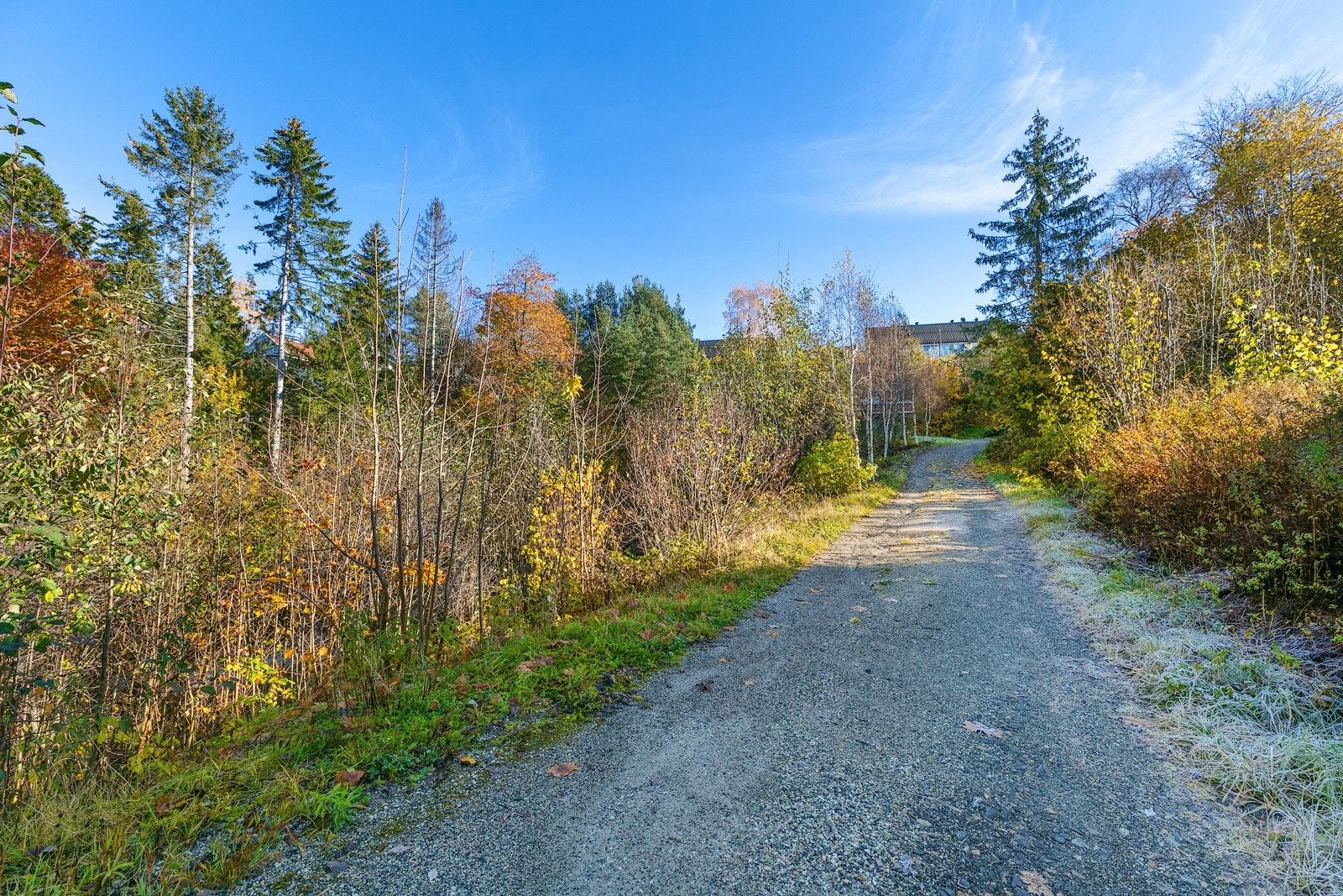 Adkomst til tomten. Galleribilde