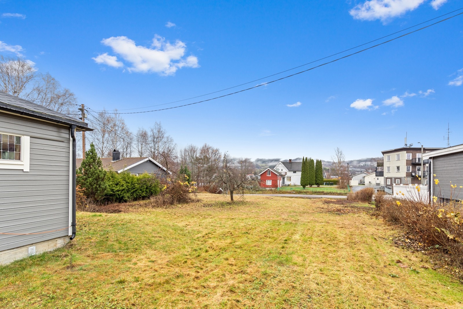 Hage med plan og diverse beplantning. Galleribilde