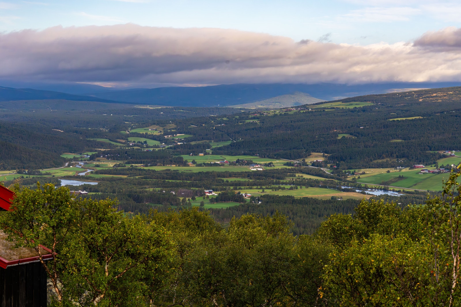 Utsikt mot Forollhogna Galleribilde