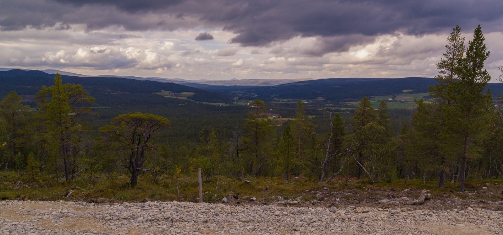 Utsikt fra tomter nederst i feltet Galleribilde