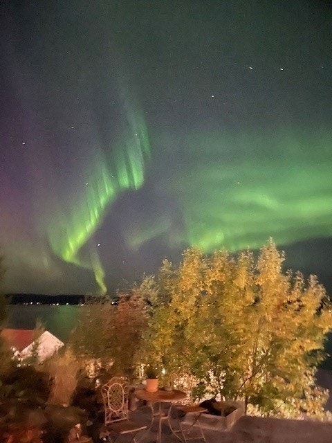 bilde 2.jpg Galleribilde