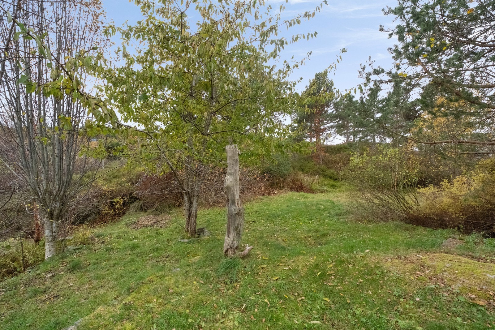 Tomten er stor, og har mye potensiale. Galleribilde