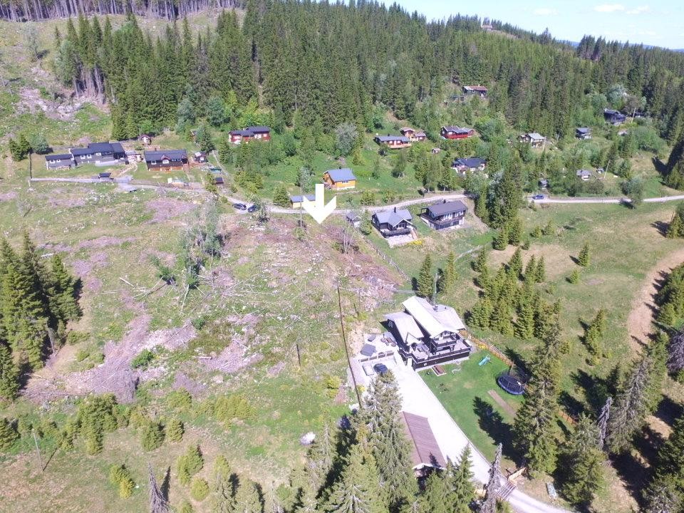 Selgers bilder Galleribilde