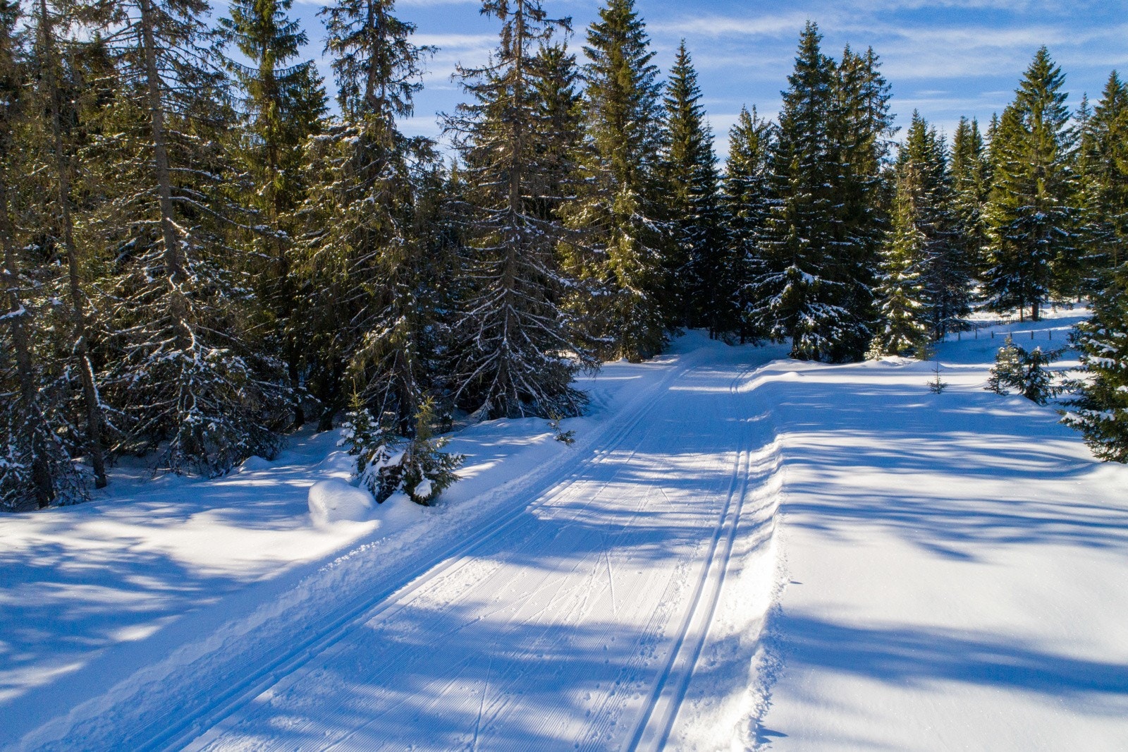 Her ligger alt til rette for flotte turer i skog og mark med vakker natur som nærmeste nabo Galleribilde