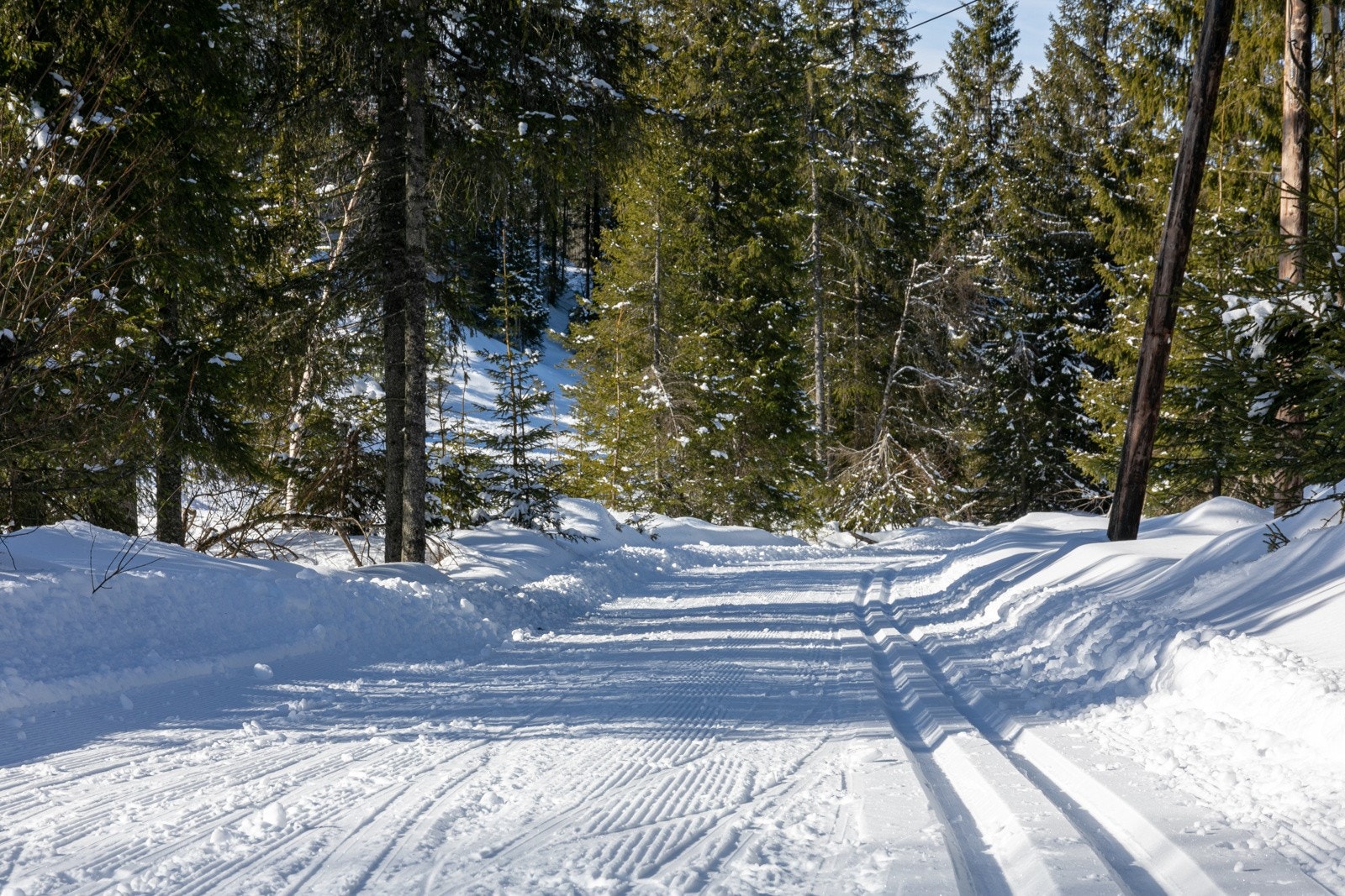 Skitraseen over Svea er en del av løypenettet som vedlikeholdes av Mylla Løypeforening. Galleribilde