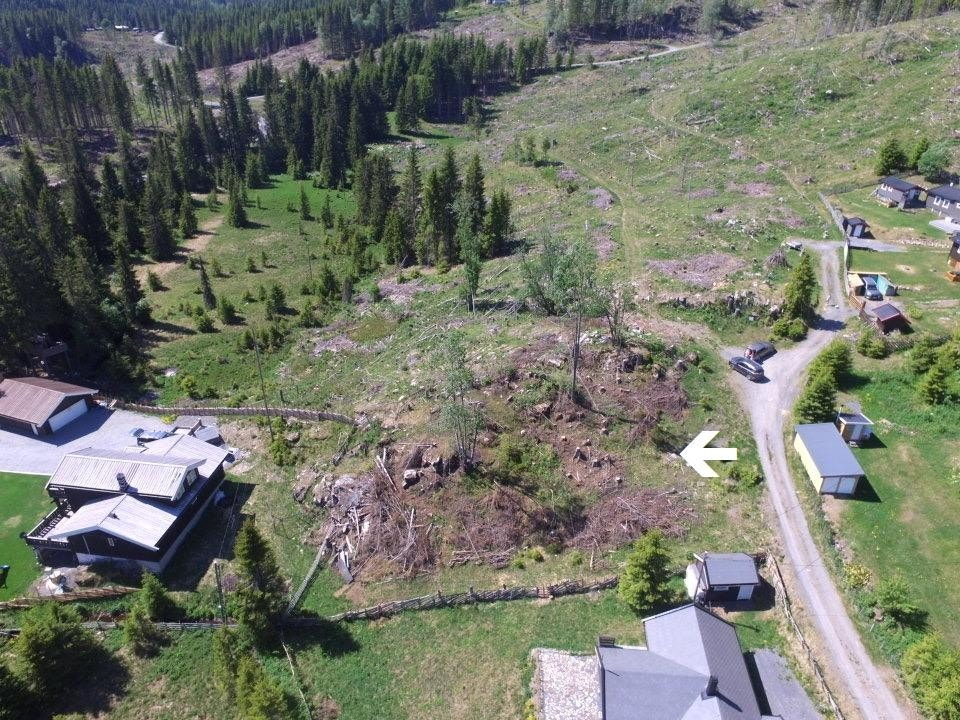 Selgers bilder Galleribilde