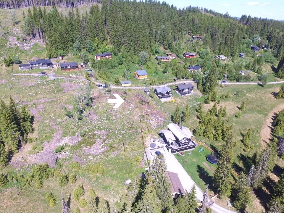 Selgers bilder Galleribilde