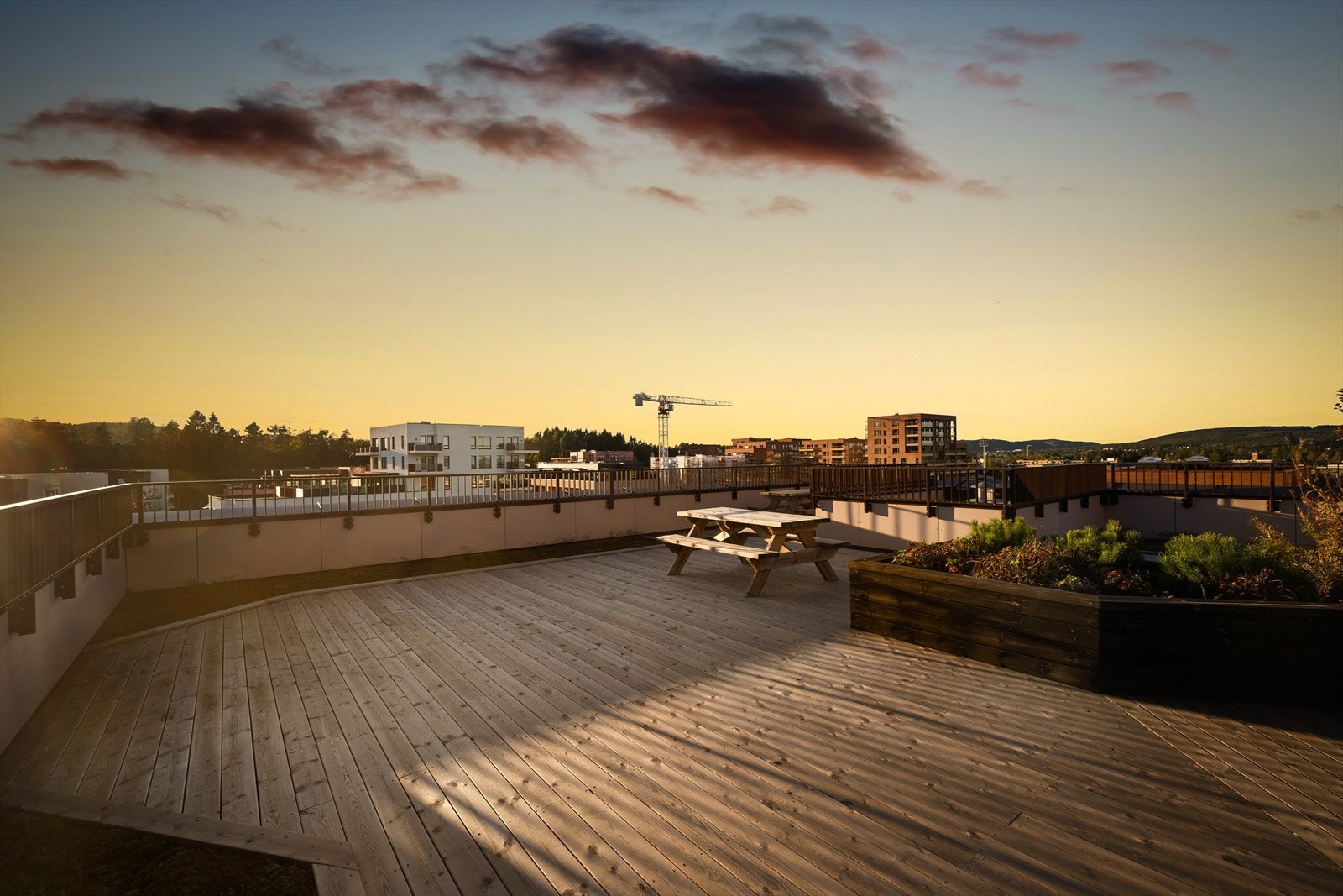 Fantastisk utsikt fra felles takterrasse. Galleribilde