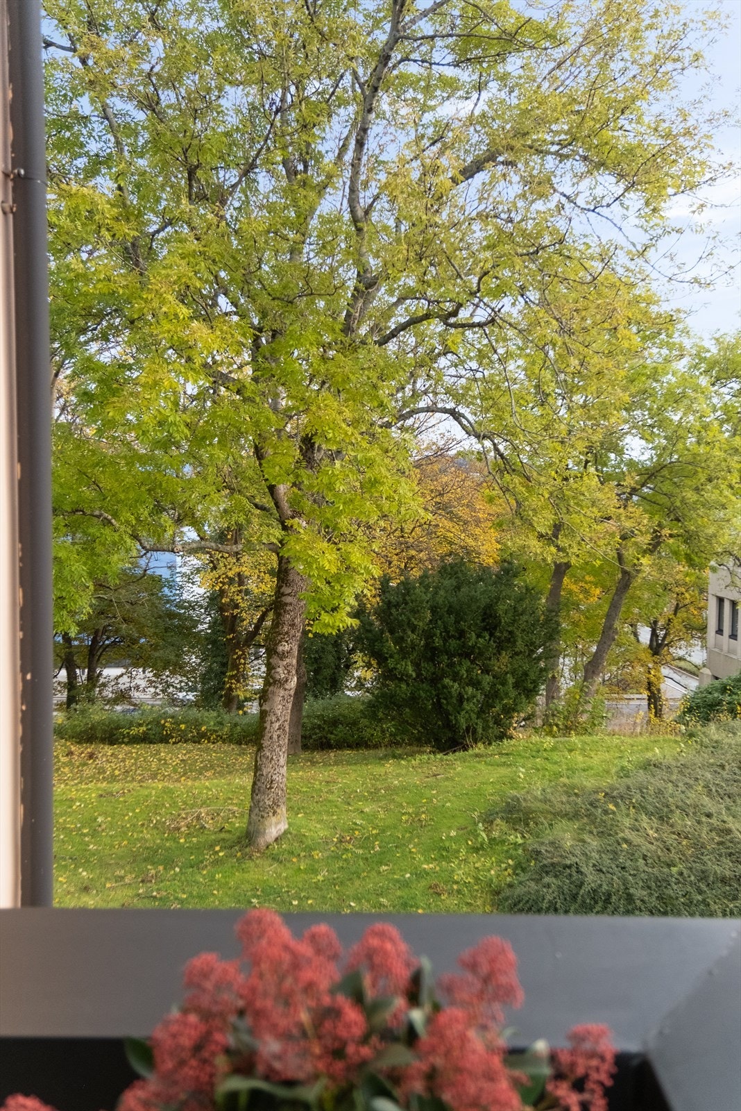 Nerparken som nærmeste nabo. Galleribilde