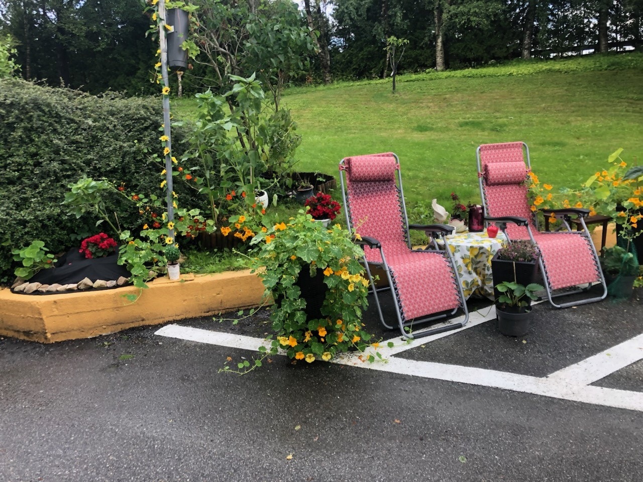 Selgers private bilde Galleribilde