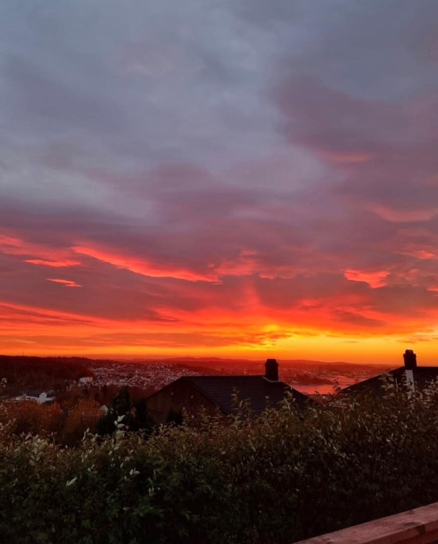 Selgers bilde av solnedgangen mot Larviksfjorden. Galleribilde