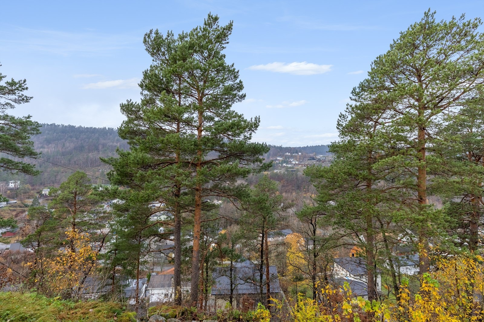 Utsikt fra terrasse Galleribilde
