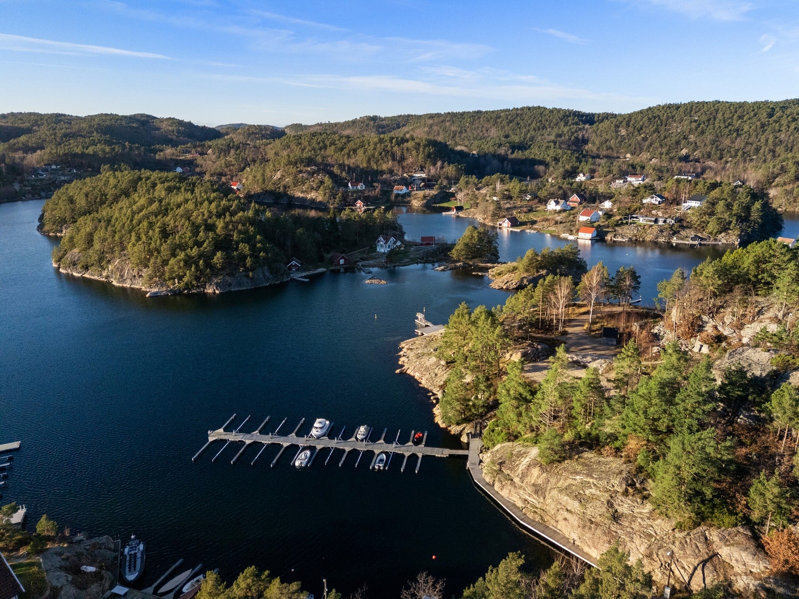 Fine turstier like ved eiendommen Galleribilde