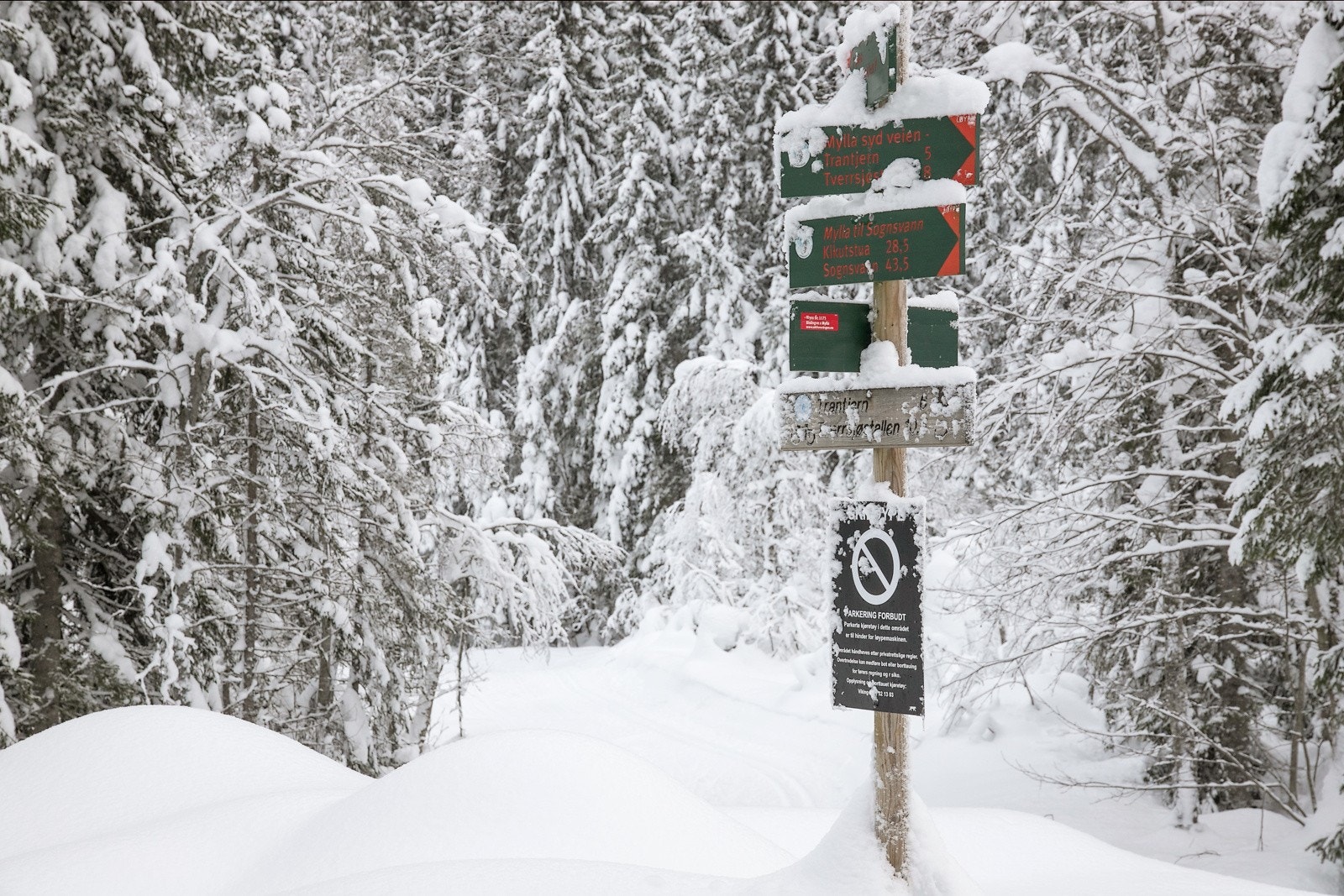 Nordmarka Nord er et meget snøsikkert område og byr på et stort utvalg maskin- og scooterpreparerte løyper i et variert terreng. Galleribilde