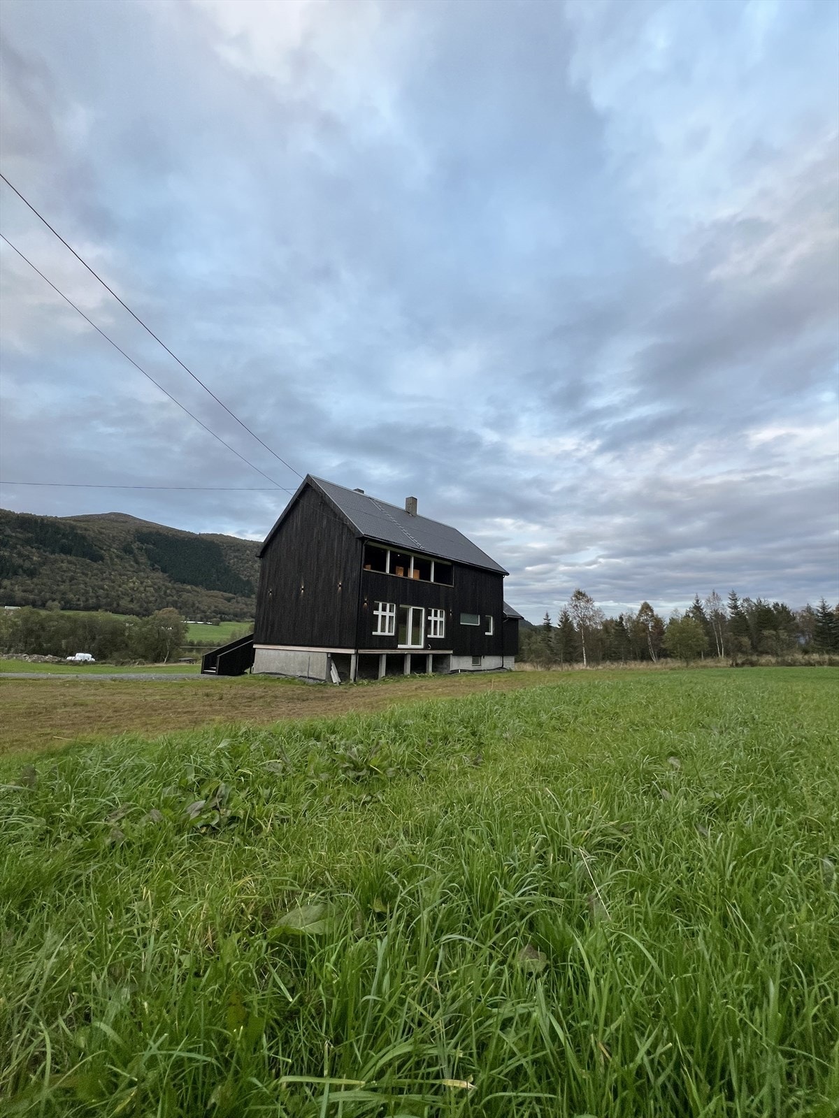 Selgers bilde Galleribilde