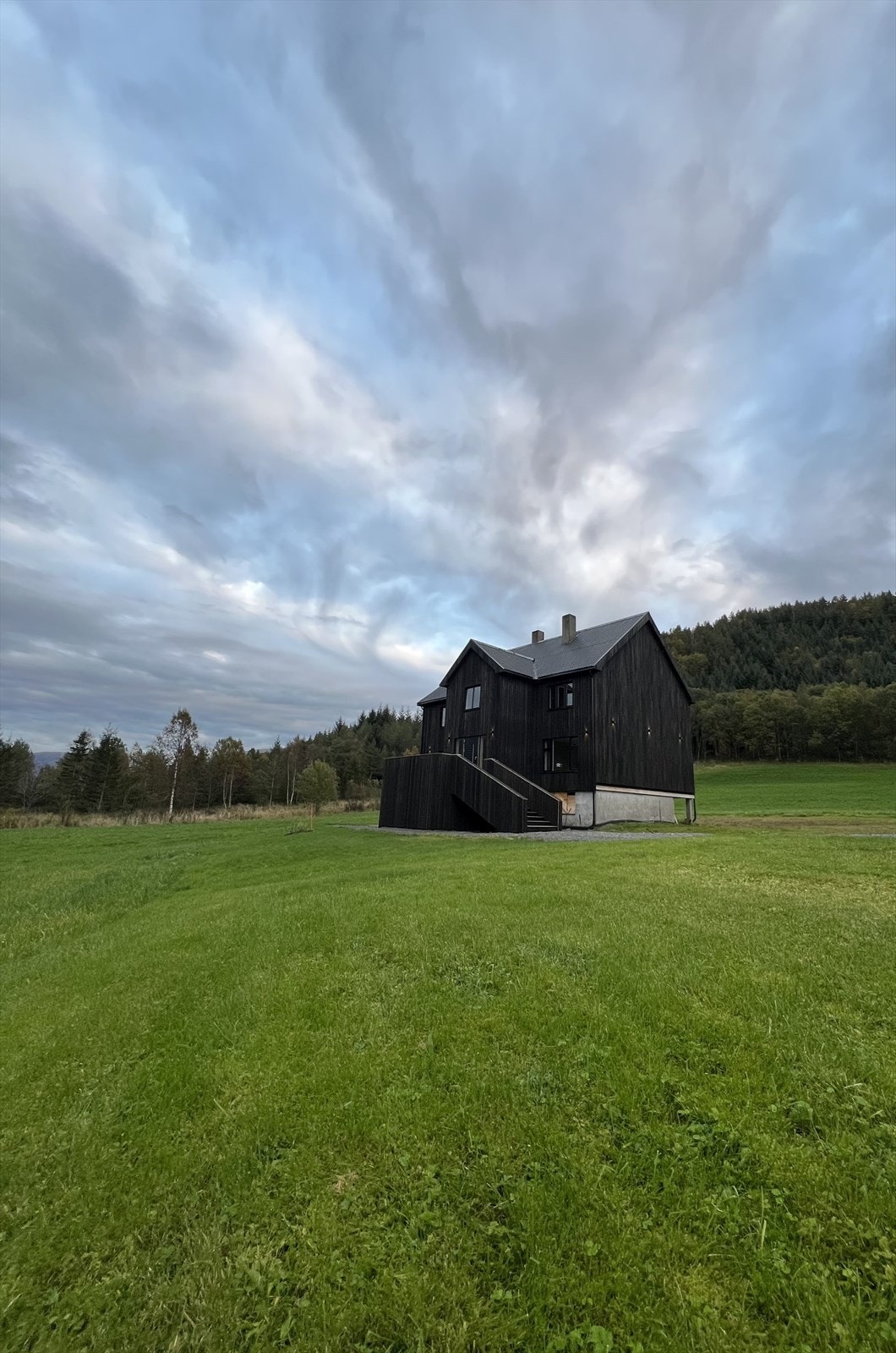 Selgers bilde Galleribilde