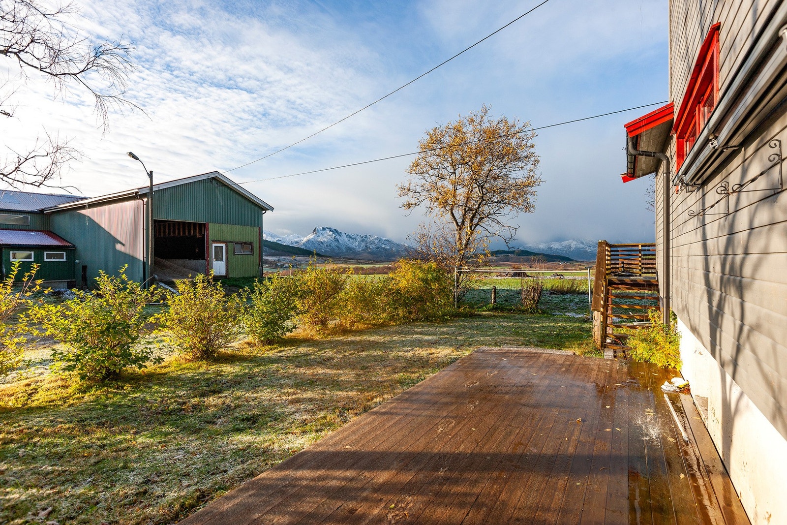 Platting på boligens vestside. Galleribilde