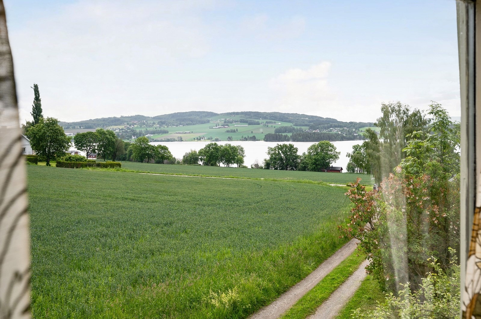 Fantastisk flott utsikt! Galleribilde