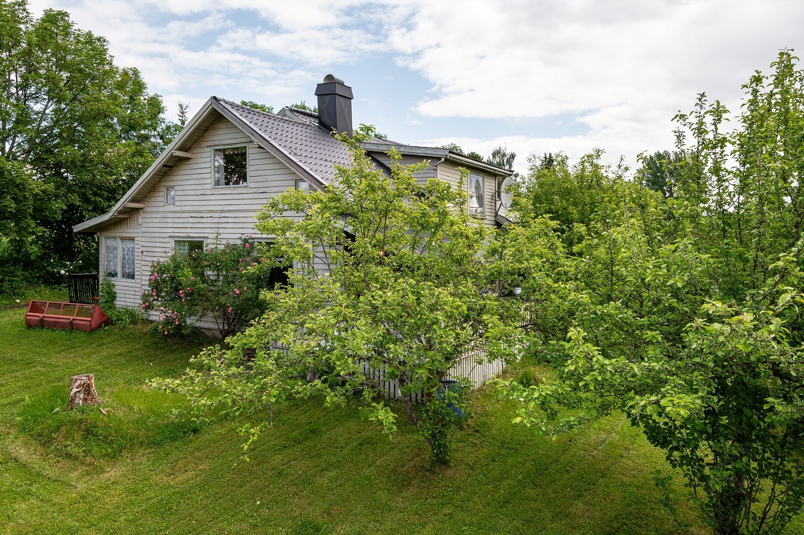 Stor og frodig hage. Galleribilde