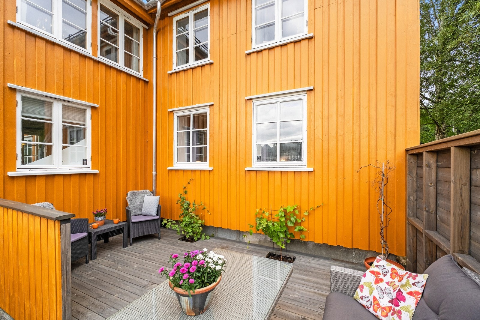 Skjermet solvegg mot sør. Galleribilde