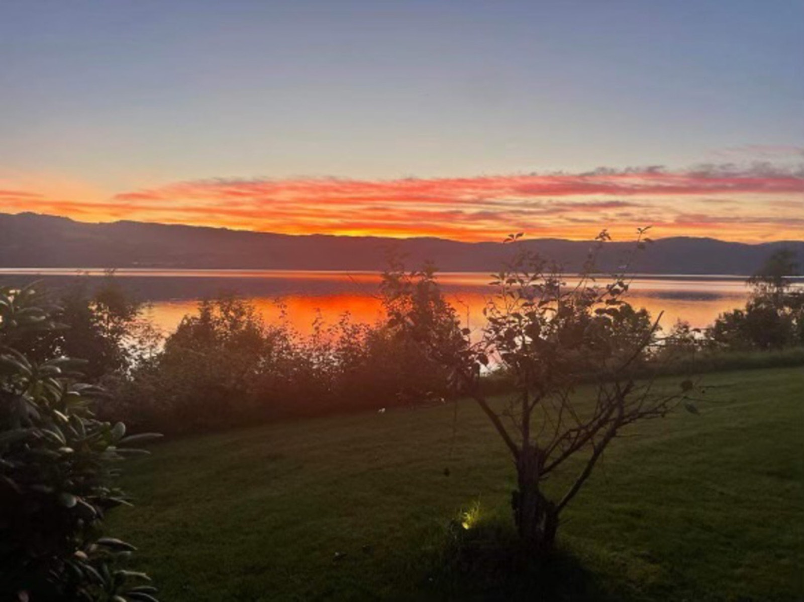 Bilde tatt av selger. Galleribilde