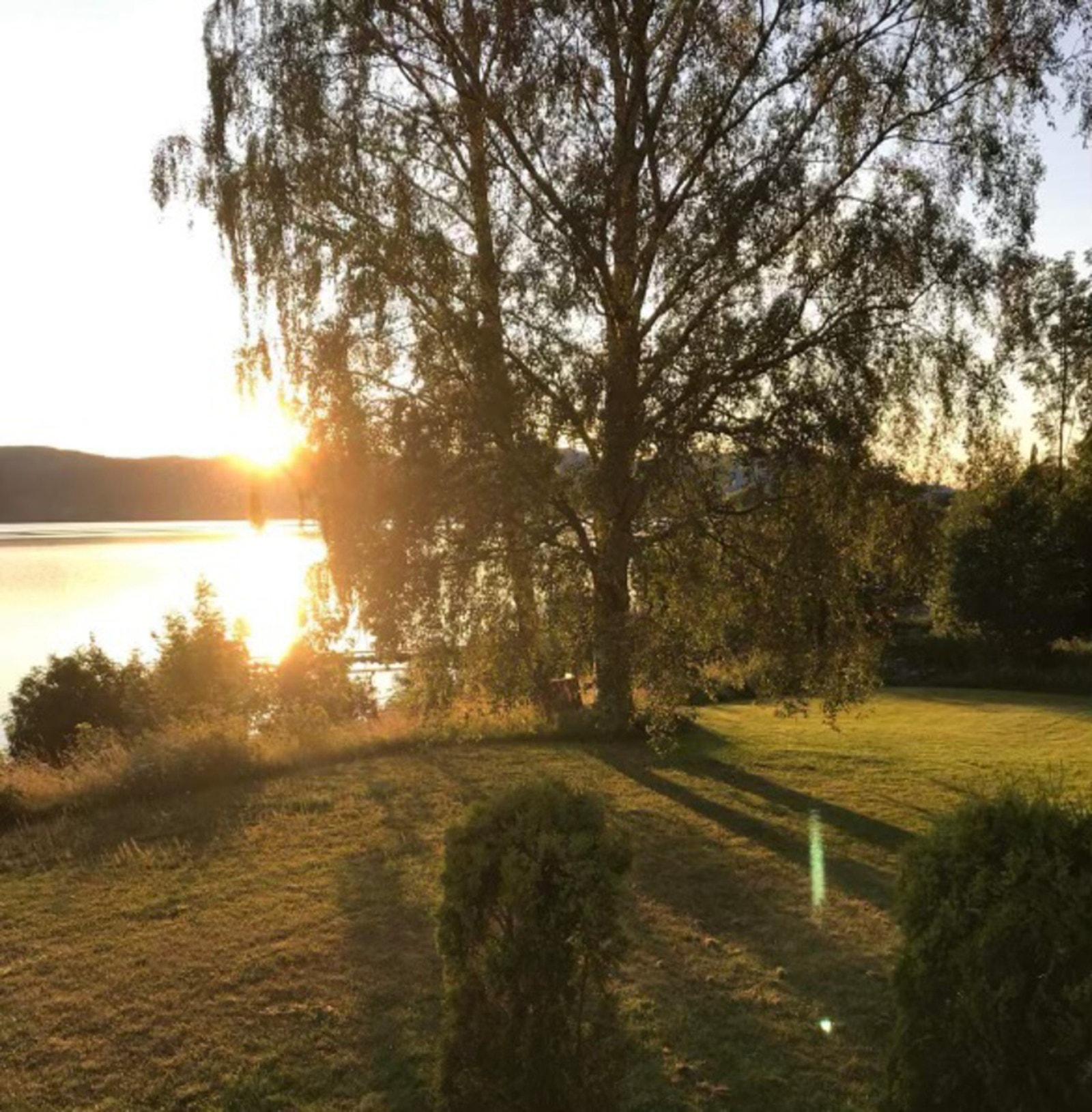 Bilde tatt av selger. Galleribilde