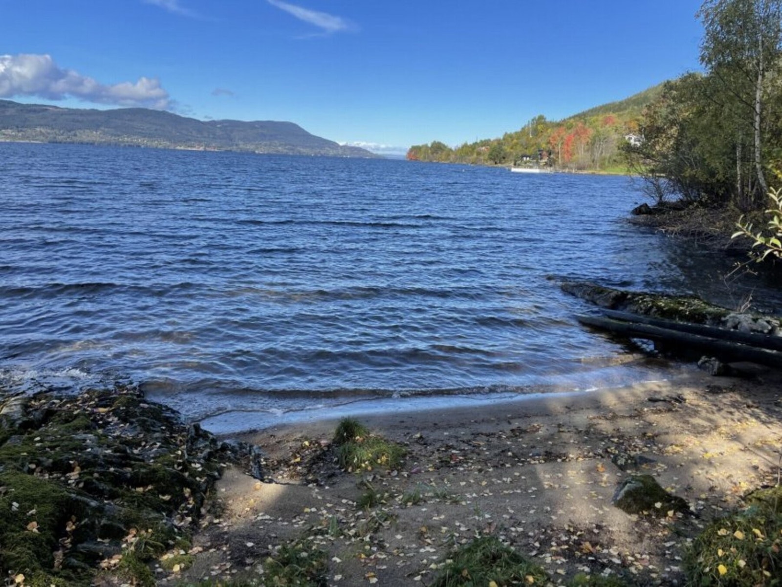 Bilde tatt av selger. Galleribilde