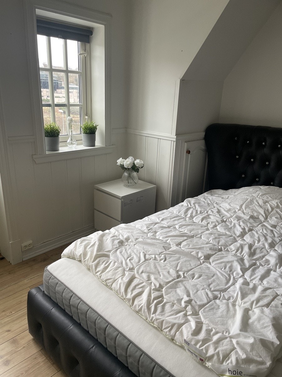 Rom 5 (utleid) Galleribilde