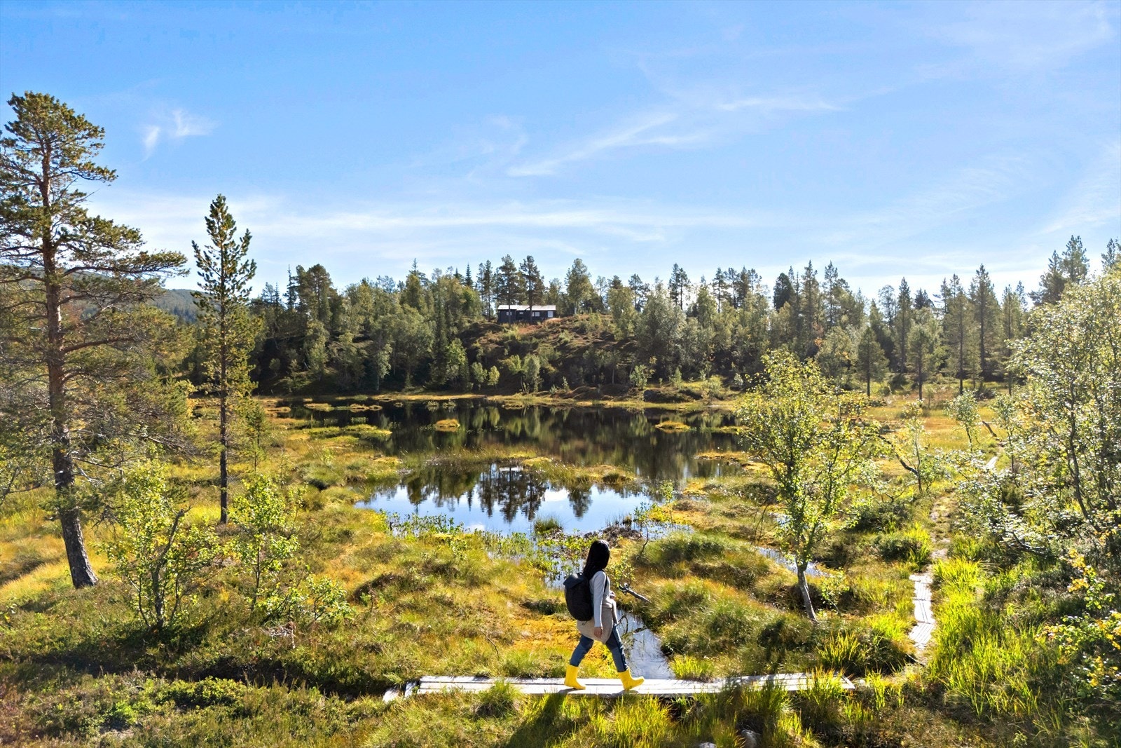 Flere tjønner/vann/ bekker i området. Galleribilde