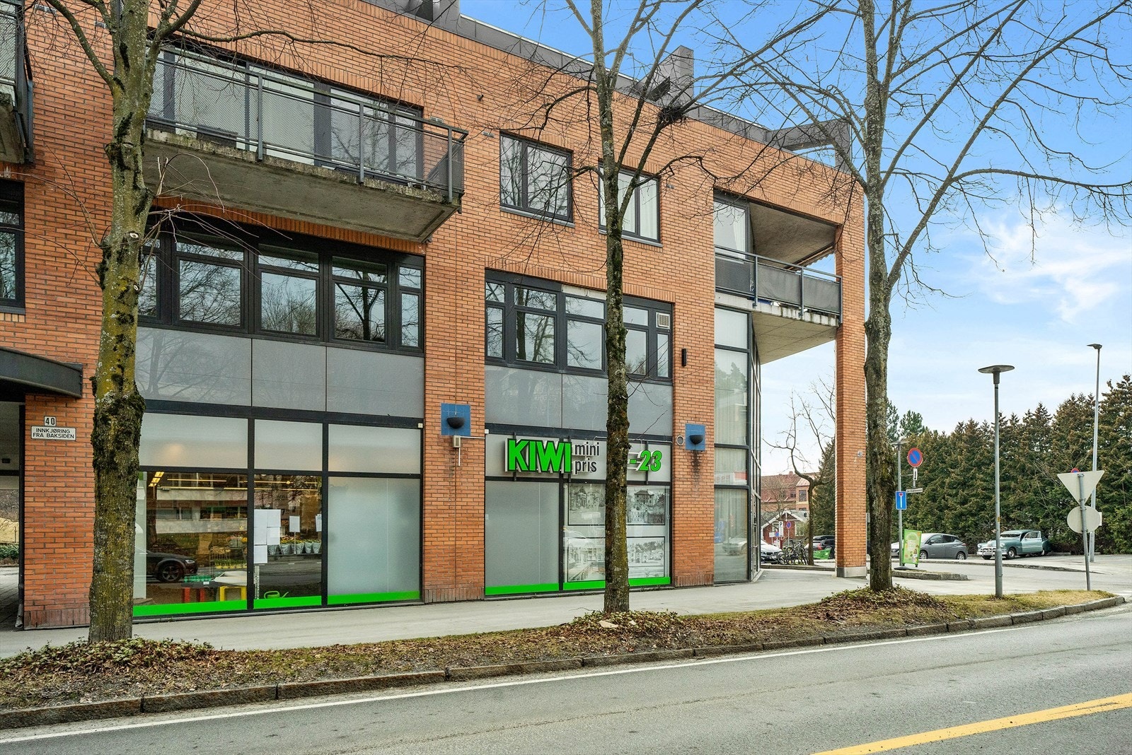 Kiwi på Stabekk Galleribilde