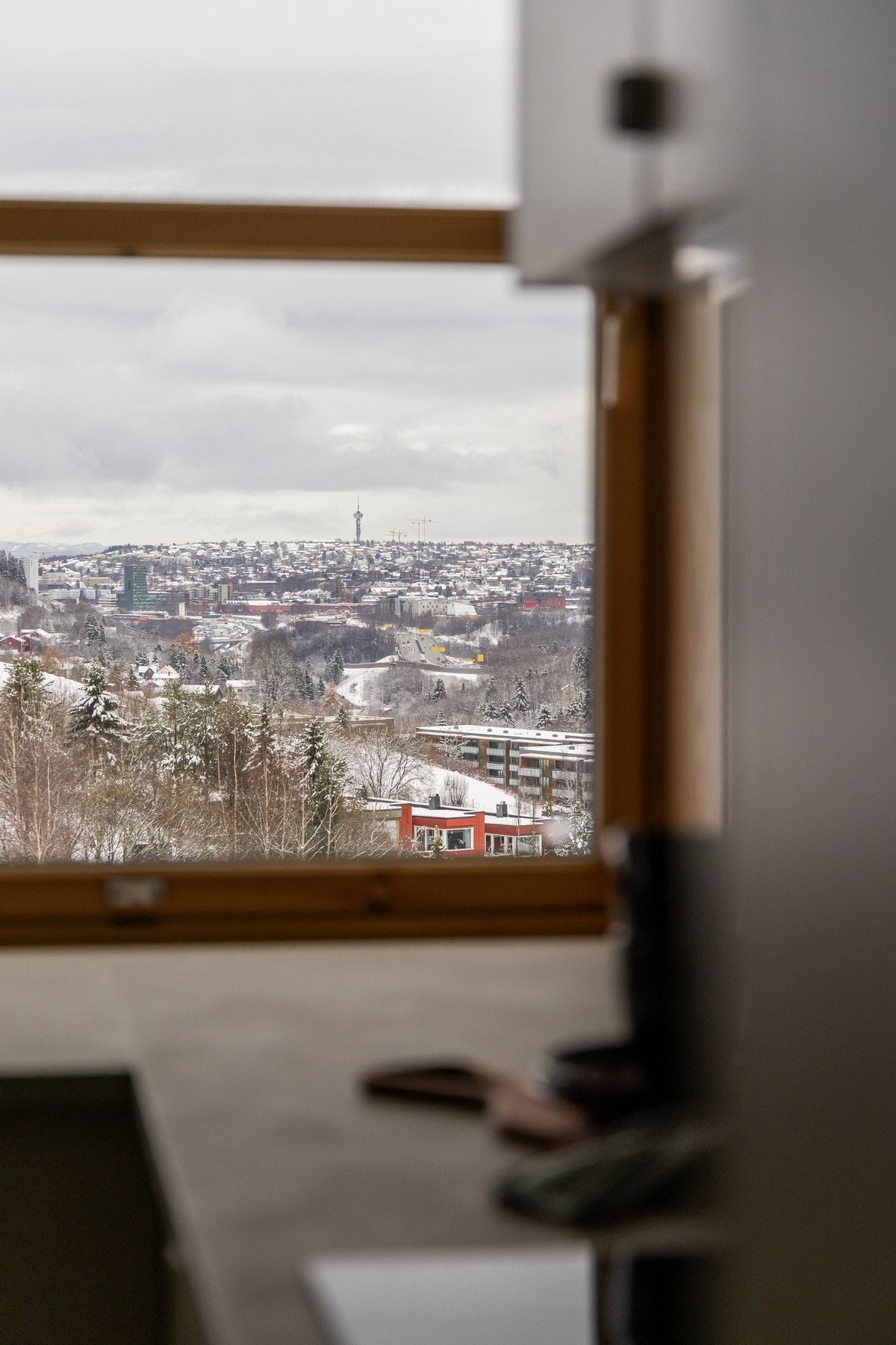 Utsikt. Galleribilde