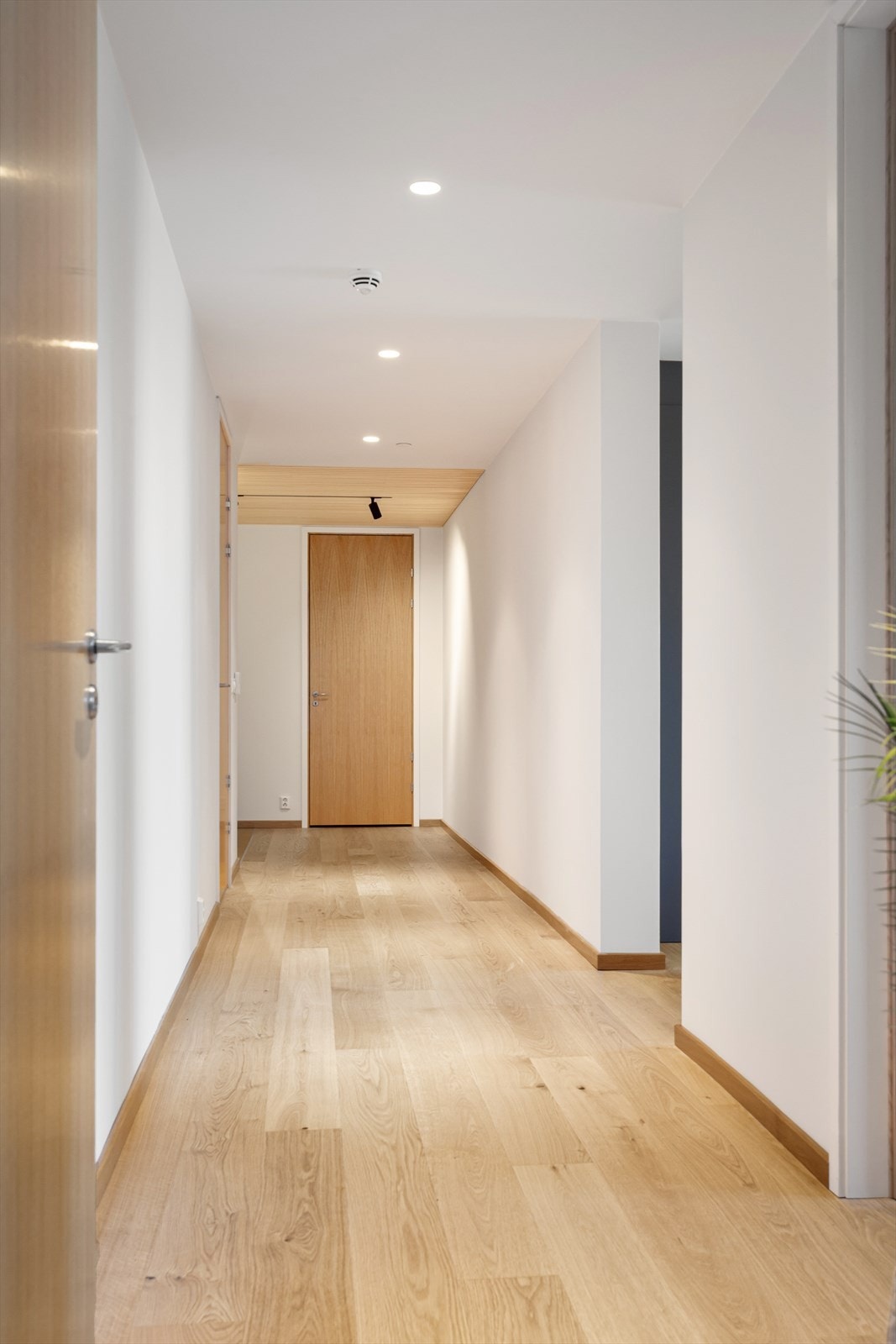 Gangen sett fra hovedsoverommet. Galleribilde