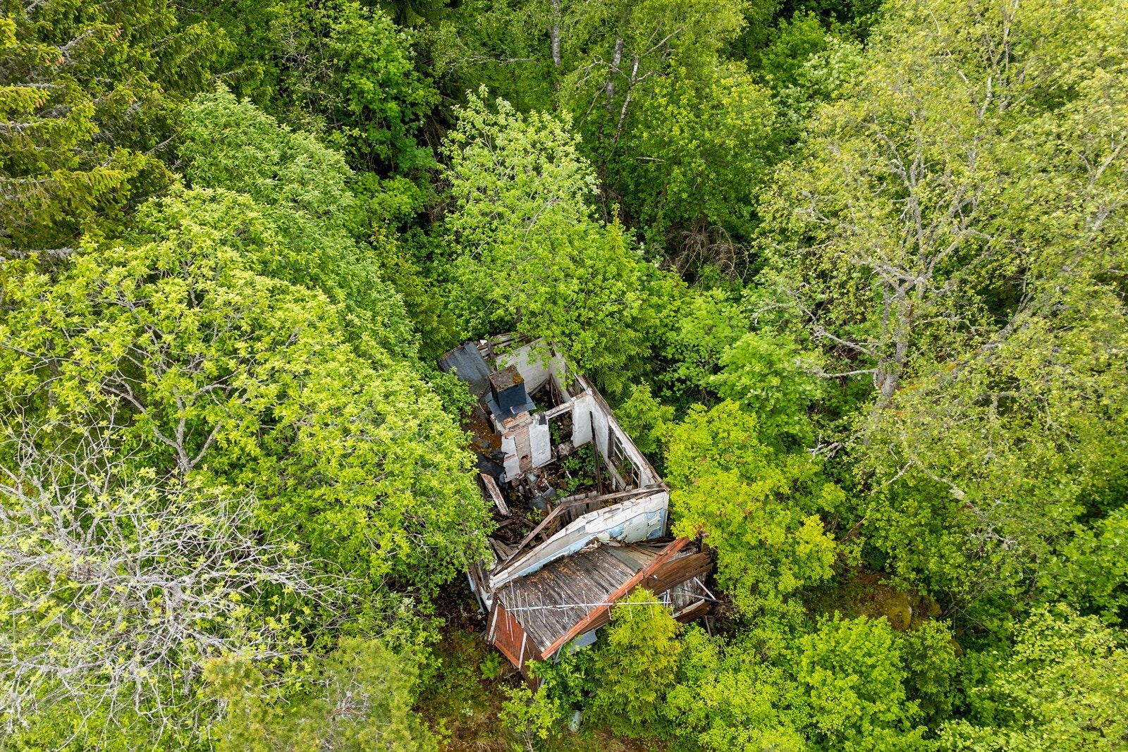 Det står ett bygg i forfallen tilstand på tomten pr dags dato. Galleribilde