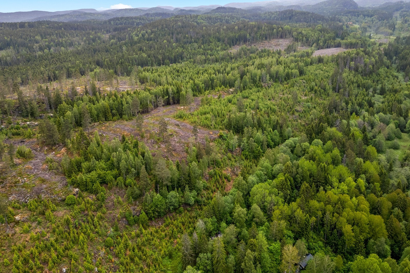 Eiendommen er omringet av frodig skog, som gir en naturlig ramme. Galleribilde