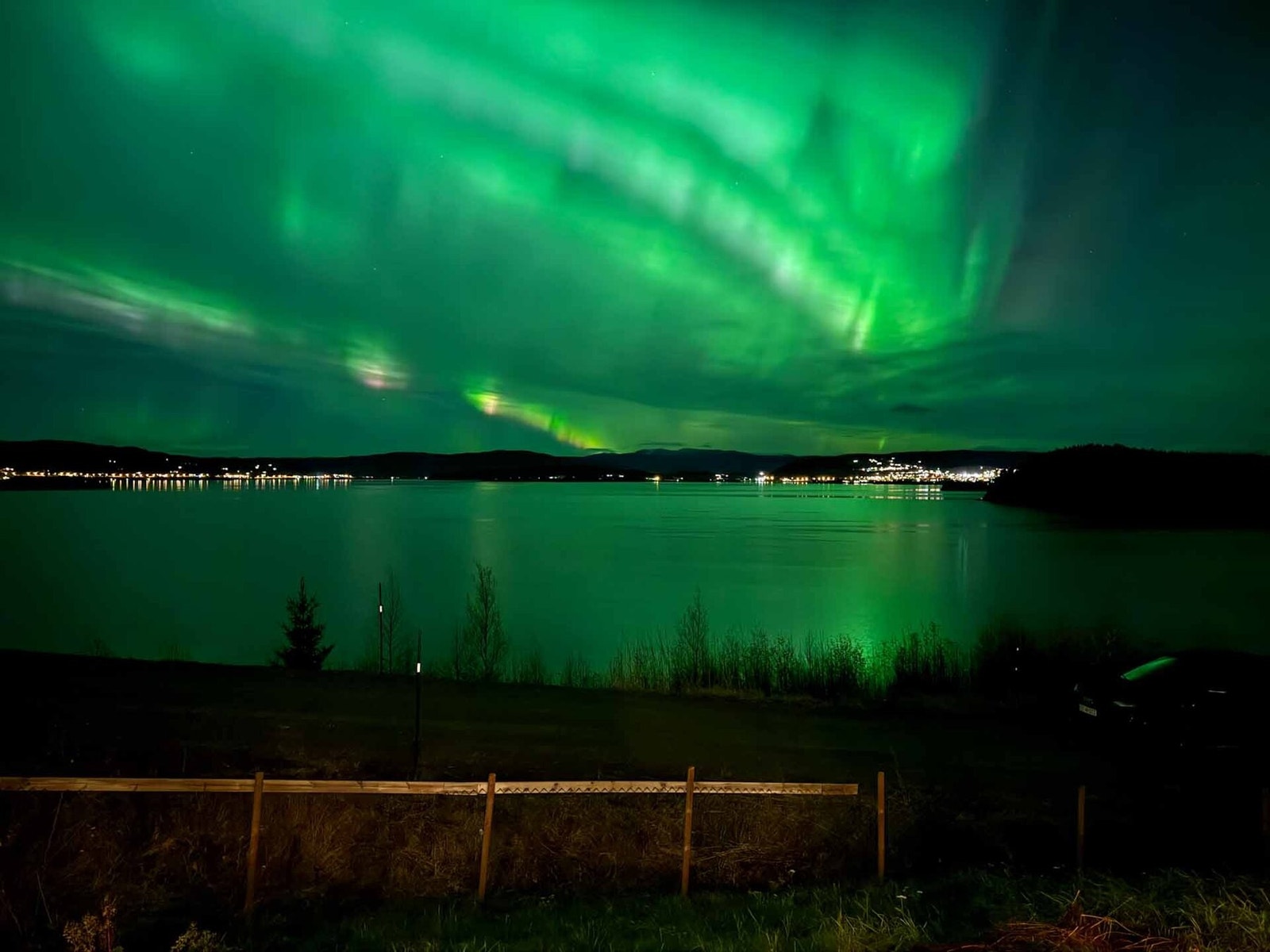 Flotte naturopplevelser! Galleribilde