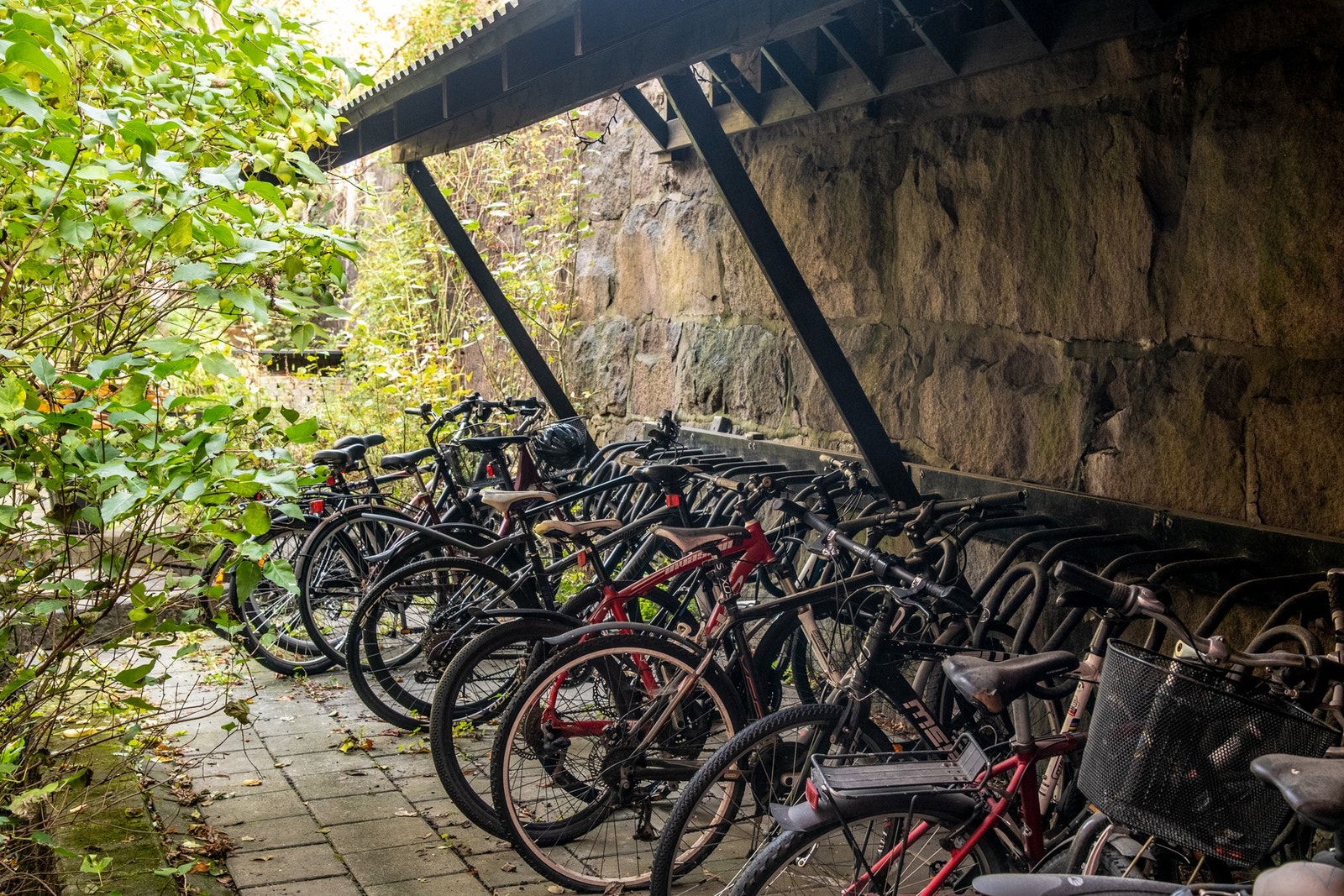 Felles sykkelparkering i bakgården. Galleribilde
