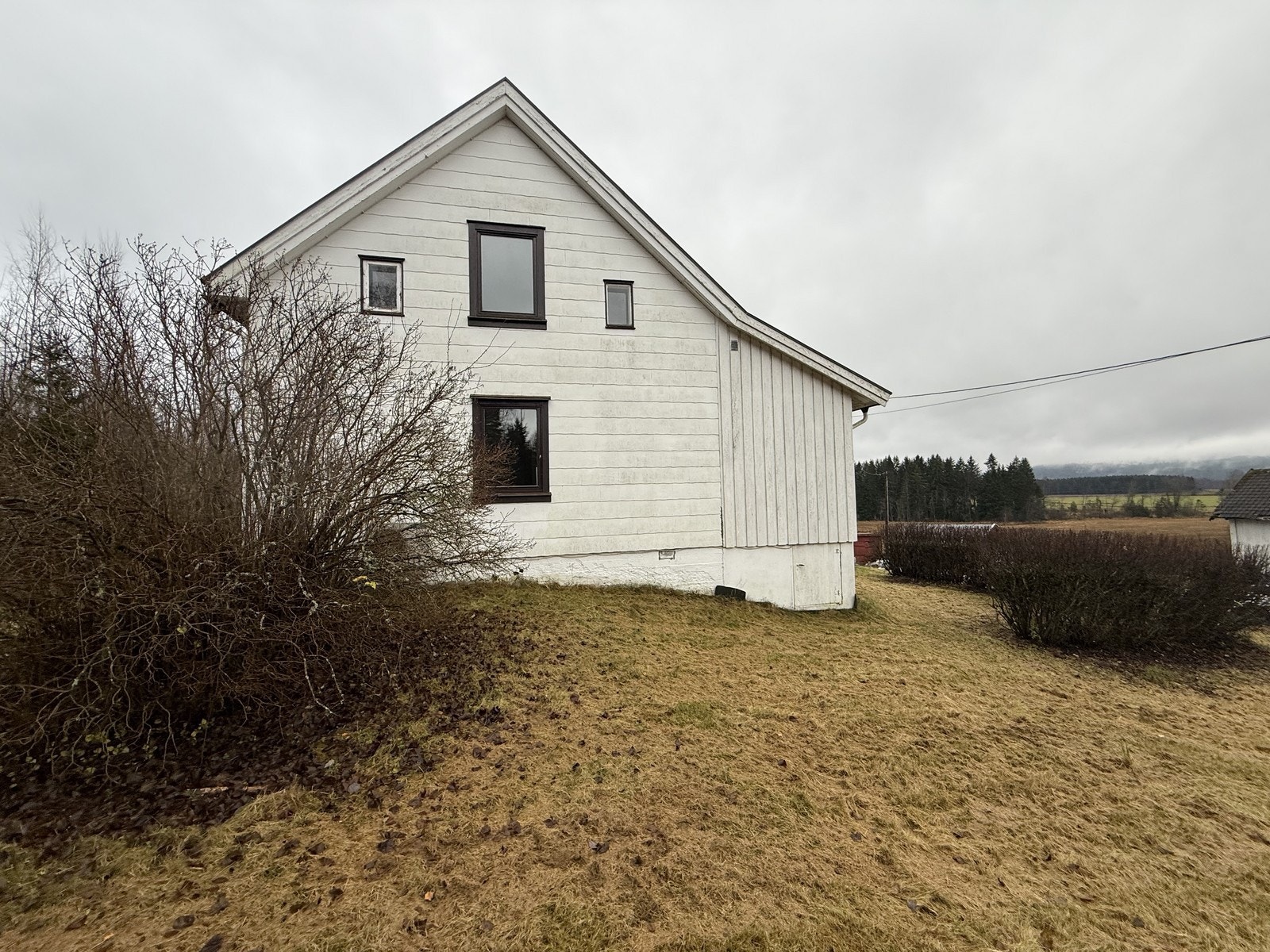 Fasade. Galleribilde