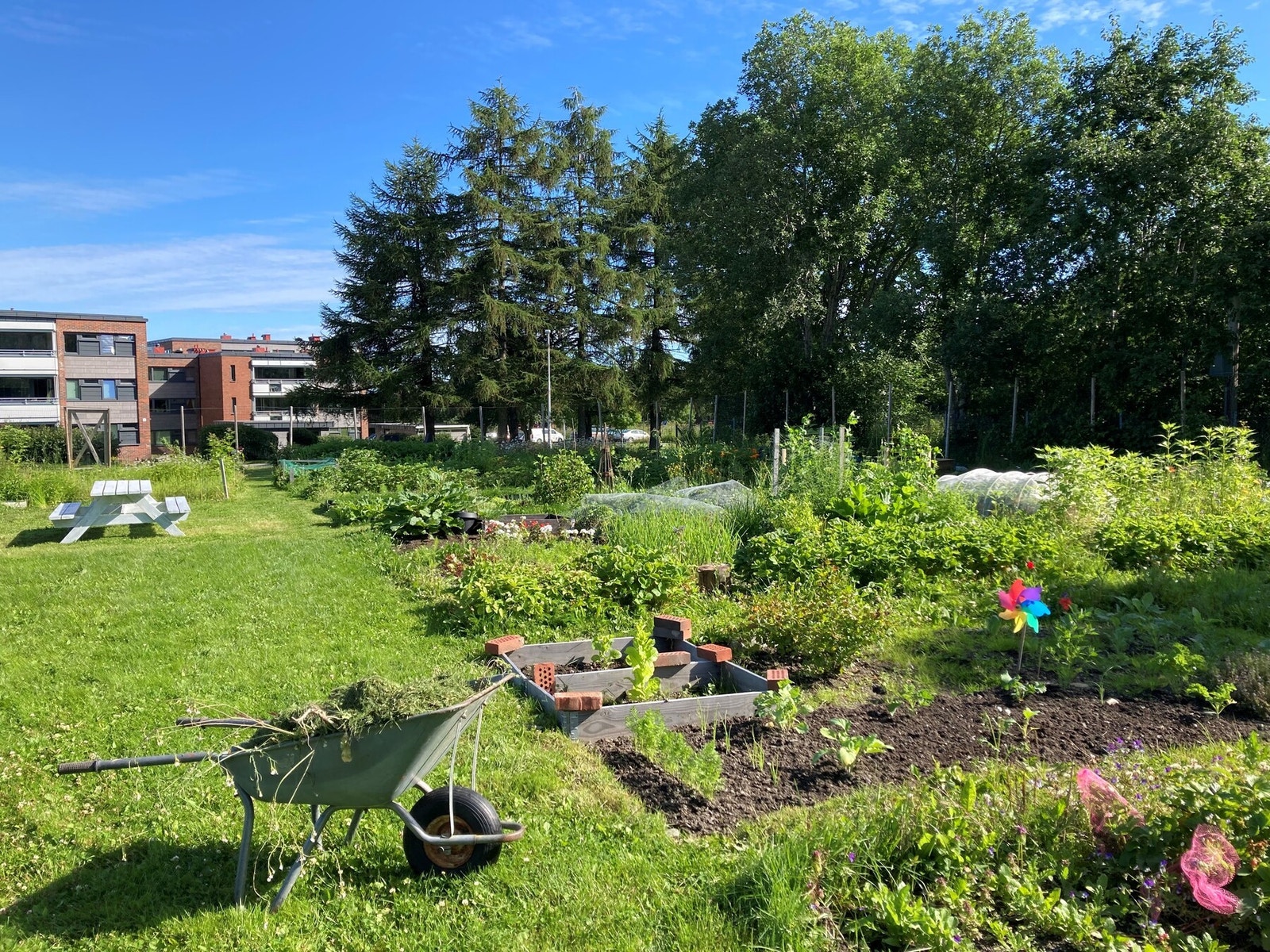 Her kan man søke om å få seg en egen plass til dyrking av urter og grønnsaker. Galleribilde