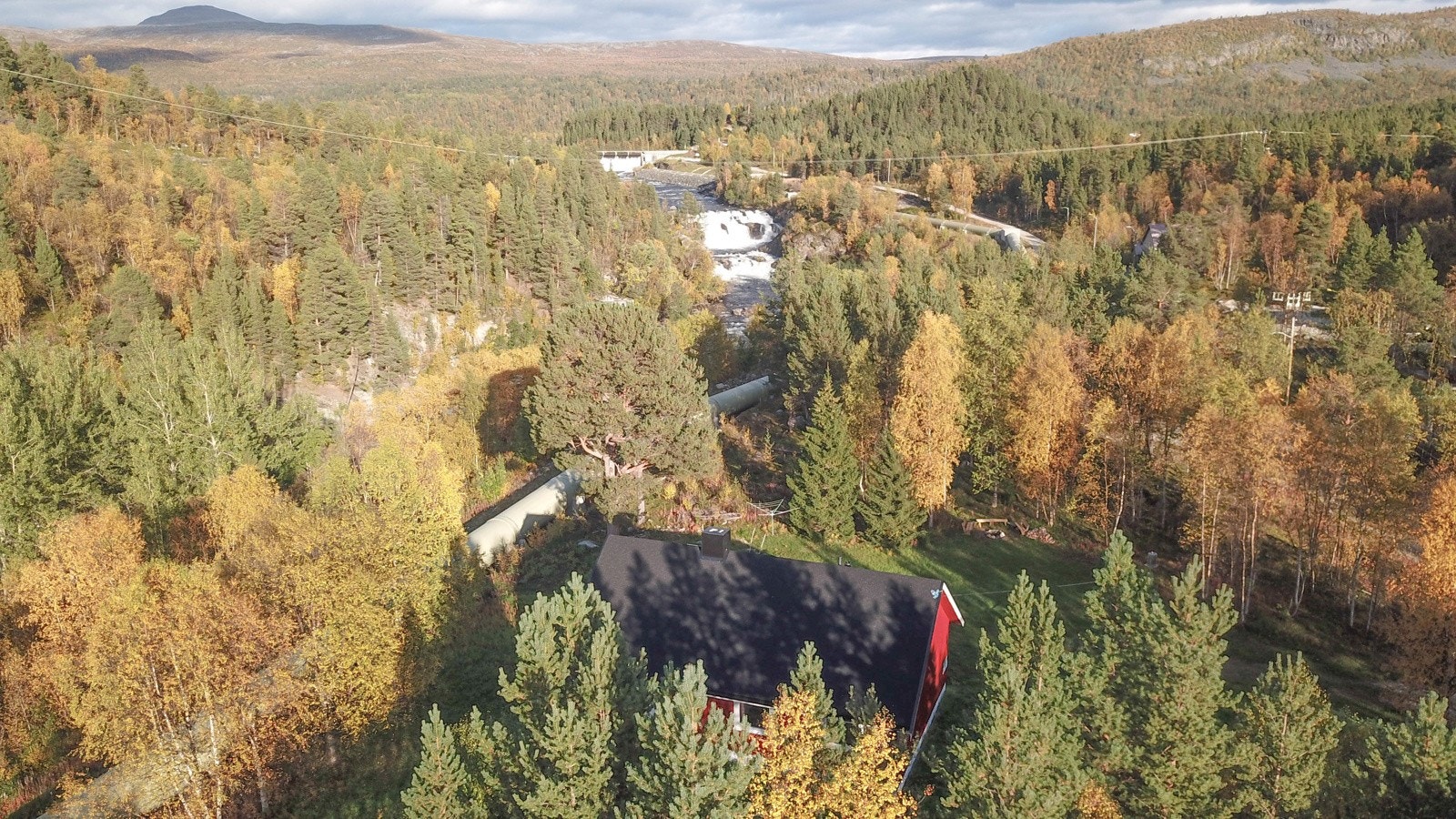 Bilde privat Galleribilde