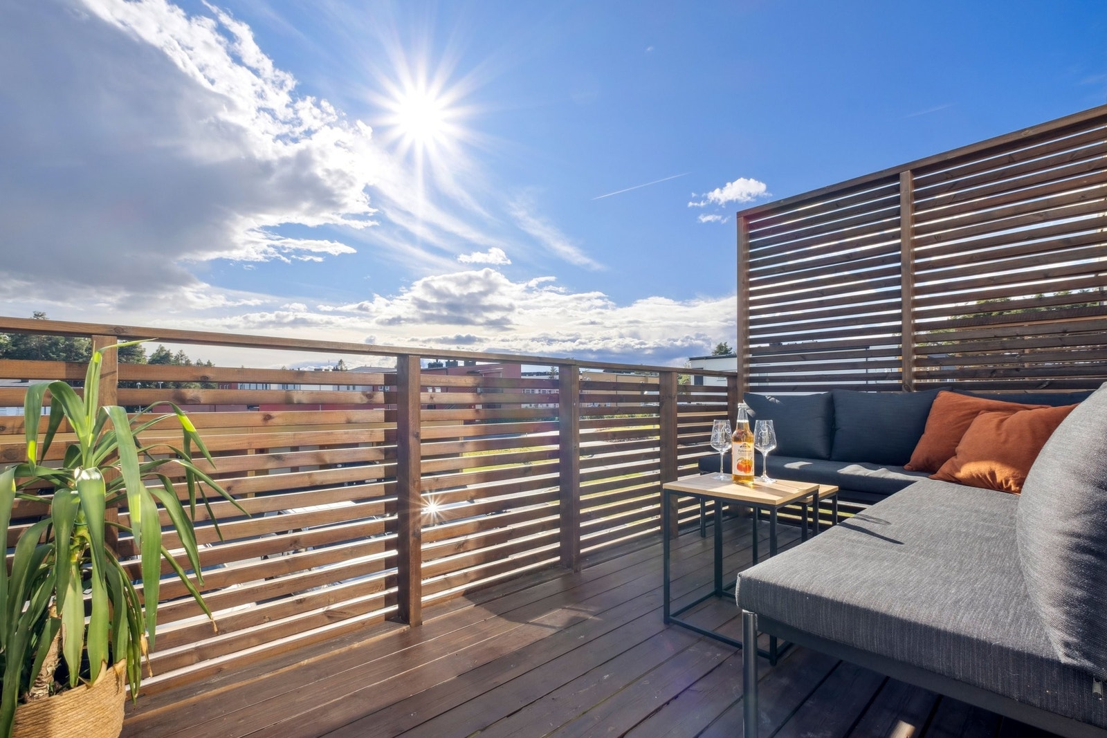 Sosial uteplass med terrasse og skjermet område. Galleribilde