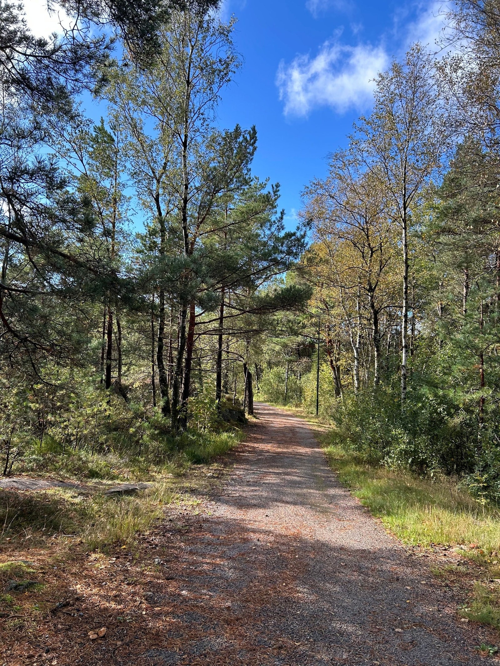 Lysløype i umiddelbar nærhet Galleribilde
