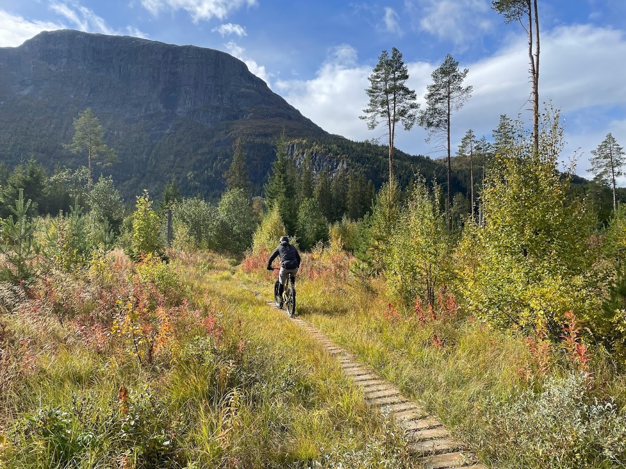 Flott stier for turer, løping og sykling i umiddelbar nærhet. Galleribilde
